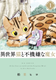 A Cat from Our World and the Forgotten Witch