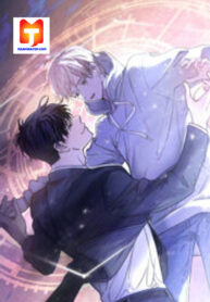 A Trace of the Wonder