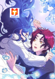 Act Of The Butterfly