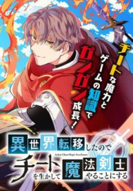 AFTER BEING TRANSFERRED TO ANOTHER WORLD I BECAME A MAGICAL SWORDSMAN THROUGH CHEATS (Isekai Cheat Magic Swordsman )