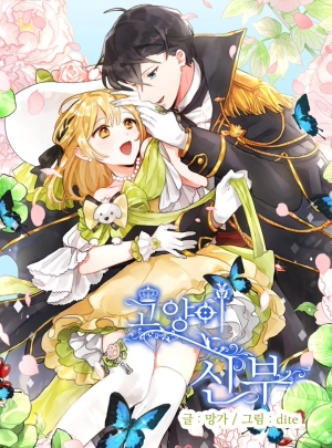 Cat prince's bride