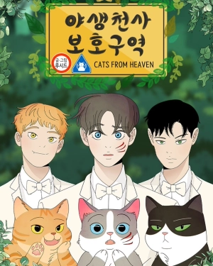 Cats From Heaven