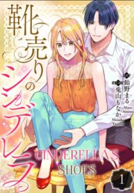 Cinderella’s Shoes