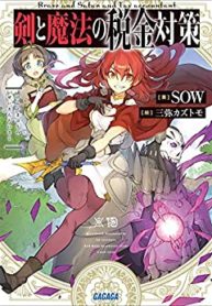 Cutting taxes with sword and magic