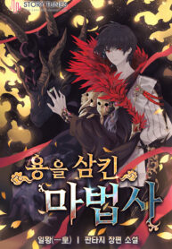 Dragon-Devouring Mage