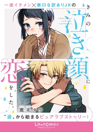 I Fell in Love With Your Tearful Face