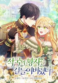 I Tamed the Enemy Prince