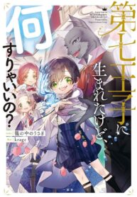 I Was Born as the Seventh Prince What Should I Do?