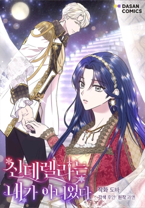 I Wasn't the Cinderella