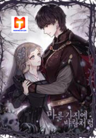 Like A Wind On A Dry Branch