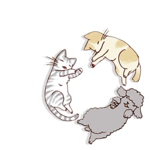 My Kitty and Old Dog