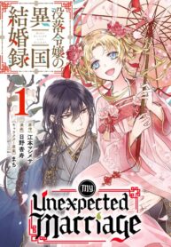 My Unexpected Marriage