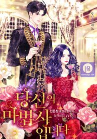 My Wizard, My Destiny