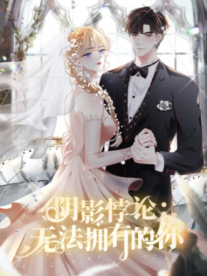 Shadow Paradox: The Incapable to Possess You