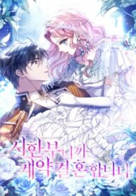 Since My Time is Limited, I’m Entering A Contract Marriage