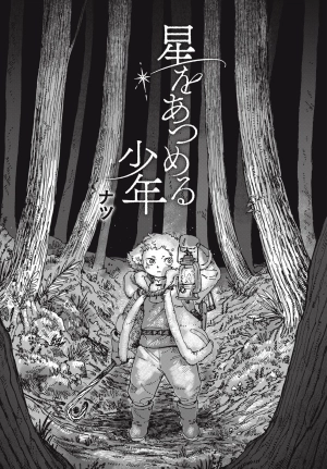 The boy who collects the stars  