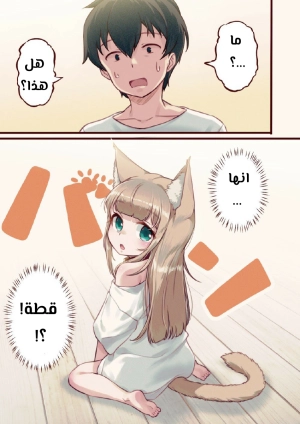 The cat came to my house