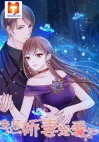 The Diary of Loving a Forgetful Sweet Wife ( The Amnesiac Wife )