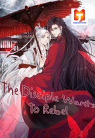 The Disciple Wants To Rebel
