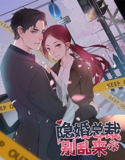  The Hidden Marriage President, Don’t Mess Around