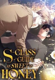 The S-Class Guide as Sweet as Honey