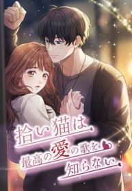 The Stray Cat Who Doesn’t Know the Greatest Love Song