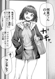 The Tsuntsuntsuntsuntsuntsuntsuntsuntsuntsuntsundere Girl Getting Less and Less Tsun Day by Day