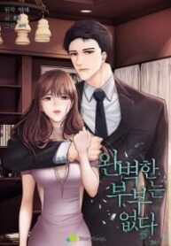 There Is No Perfect Married Couple