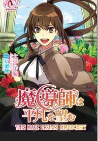 This Mage Desires Mediocrity