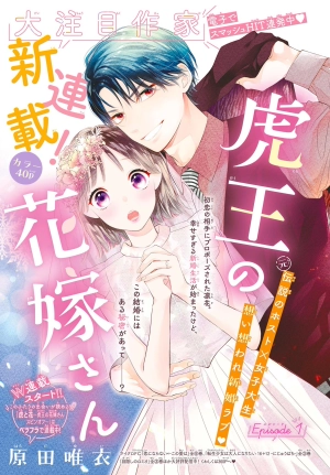 Tora-Ou no Hanayome-san