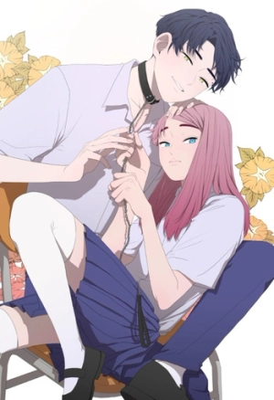 Version Day and Night