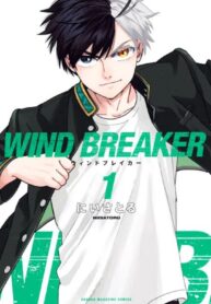 Wind Breaker (Japan)