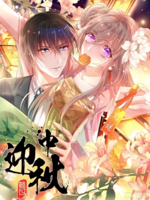 Won't shine better than you