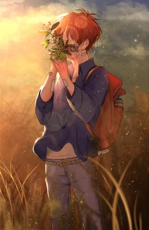 حياة بلاستيكية 